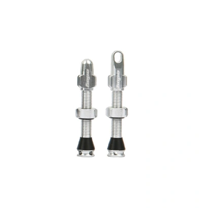 Hope Tubeless Valve Pair 40mm Silver