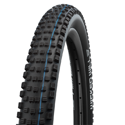 Schwalbe Wicked Will Addix SpeedGrip Super Ground TLE Evolution Tyre 29 x 2.40